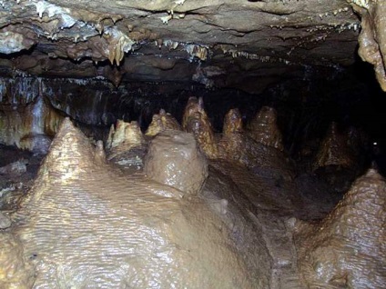 Cave divya, un site dedicat turismului și călătoriilor