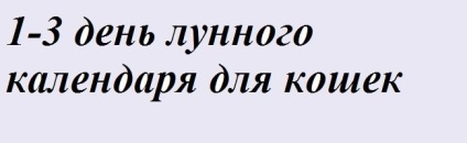 Miért szeretik a macskák a csapvizet igyekezni - mindent a szerelemről a macskákról és a macskákról?