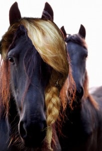 Fie că șamponul de cal este potrivit pentru părul nostru, experiența unei femei