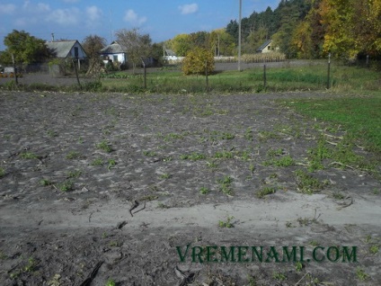 Căutarea monedelor metalice în 2013