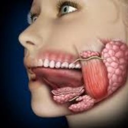 Cauzele inflamației, semne și metode de tratament a glandei salivare - bisturiu - medical