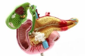 Un atac al simptomelor de colelitiază, tratament și dietă