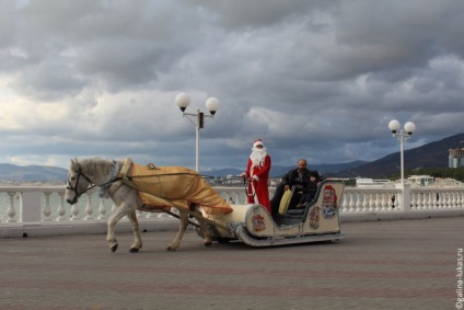 Călătoriți pe tot parcursul anului