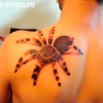 Valódi tetoválás 76 fénykép és rajz (tetoválás) Realistic Tattoo 76 fotók és vázlatok