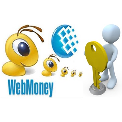 Înregistrarea în sistemul de plăți electronice webmoney