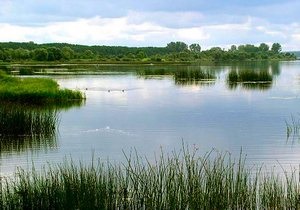 Pescuit pe Lacul - Societatea Piscicolă