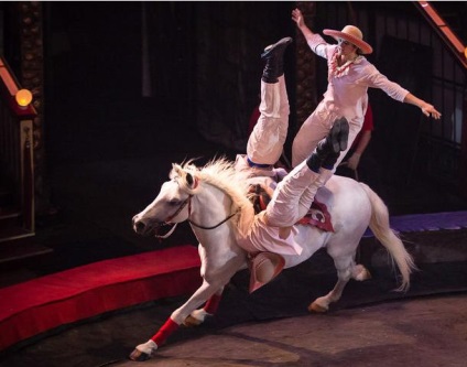 Rostov Circus, Rostov-on-Don fotografie, recenzii, prețuri, bilete, orar, adresa