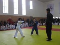 Sambo vs judo