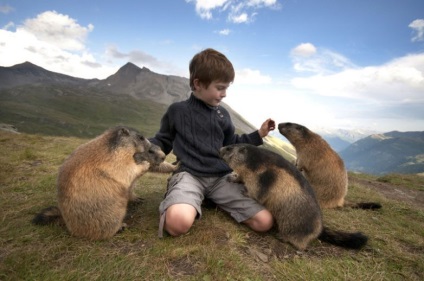 Cele mai brutale atacuri de animale pe oameni