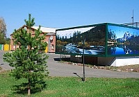 Sanatoriul pădurii de pin Krasnoyarsk teritoriu 1