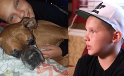 Cu durere în inima lor, au trimis câinele să doarmă și, după o jumătate de an, l-au văzut accidental pe net
