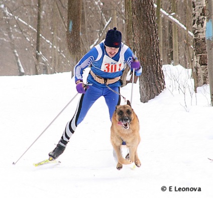 Skijoring pe