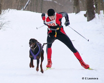 Skijoring pe