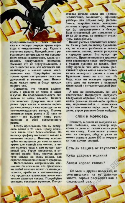 Elefánt és sárgarépa - fiatal technikus 1989-11, 17. oldal