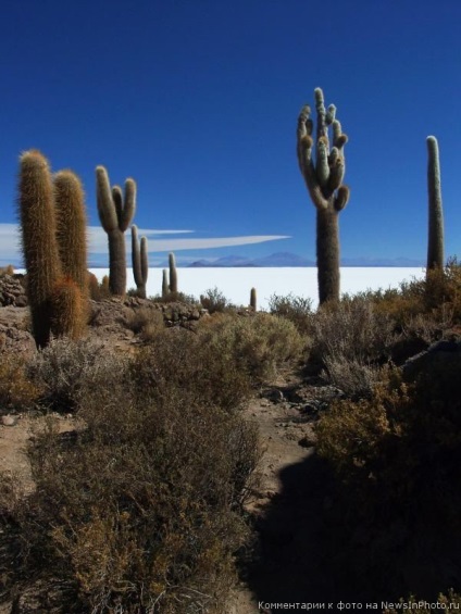 Uyuni solonchak este cel mai mare lac de sare, Nicolletto