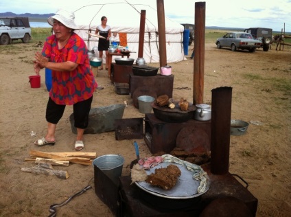 Păsări moderne nomade din Tuvinia - știri despre Mongolia, Buryatia, Kalmykia, Tyva