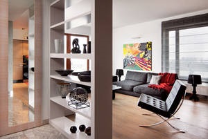 Rack-uri ca o alternativă la mobilierul cabinetului, design interior
