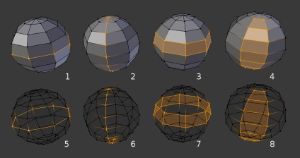 Structura manualului poliset - blender