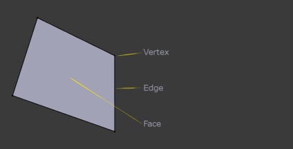 Structura manualului poliset - blender