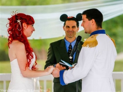 Nunta în stilul desene animate Disney (19 fotografii)