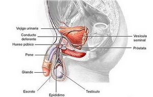 Afalah tabletta adenoma és prosztatagyulladás kezelésére, felülvizsgálatok, utasítások, ár, használati útmutatók