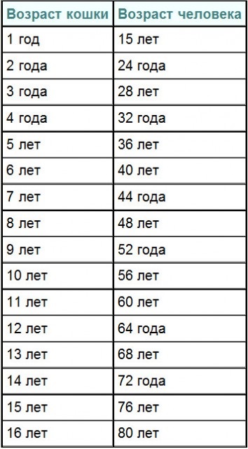 Potriviți tabelul vârstei de câini