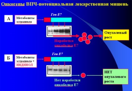 A reprodukciós rendszer proliferatív megbetegedéseinek terápiája - cikkek - orvosi portál