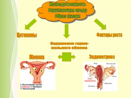 Direcționarea terapiei bolilor proliferative ale sistemului reproducător - articole - portal medical