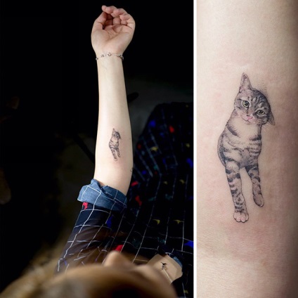 Cat de tatuaj