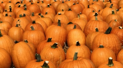 Pumpkin (garbuzovaya) zabkása - az előnyök minden kanállal, a legjobb étrend