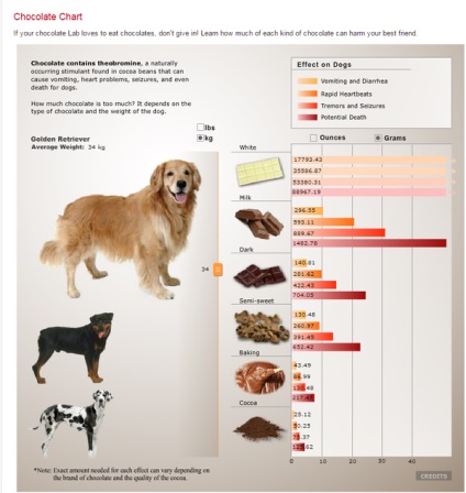 Alimente toxice pentru câini