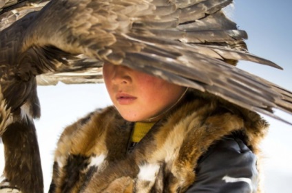 Distracție de călătorie, trăsături ale falconului în Mongolia