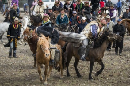 Distracție de călătorie, trăsături ale falconului în Mongolia