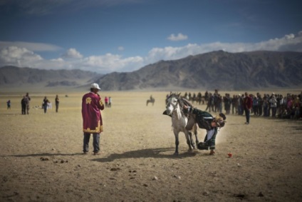 Distracție de călătorie, trăsături ale falconului în Mongolia