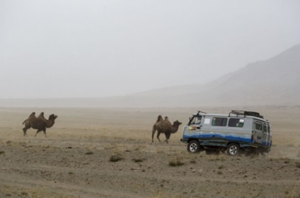 Distracție de călătorie, trăsături ale falconului în Mongolia