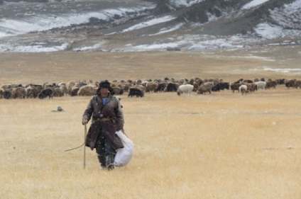 Distracție de călătorie, trăsături ale falconului în Mongolia