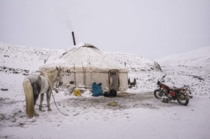 Distracție de călătorie, trăsături ale falconului în Mongolia