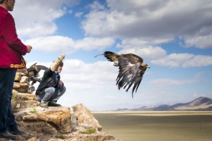 Distracție de călătorie, trăsături ale falconului în Mongolia