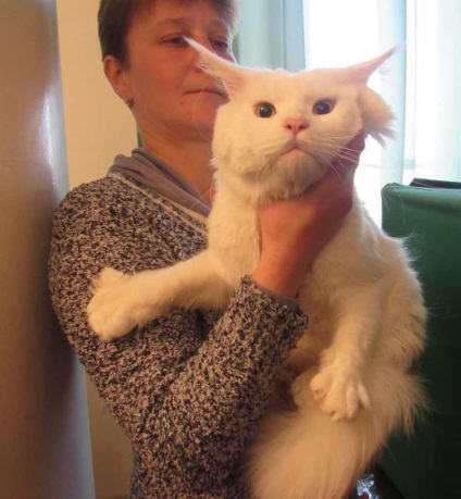 În Kramatorsk, o expoziție de pisici, știri despre postul Kramatorsk - kramatorsk, postul kramatorsk