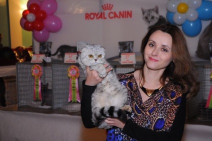 În kramatorsk, a avut loc o expoziție mult așteptată de pisici - medicul veterinar Brezhnev Vetcenter