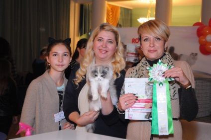 În kramatorsk, a avut loc o expoziție mult așteptată de pisici - medicul veterinar Brezhnev Vetcenter