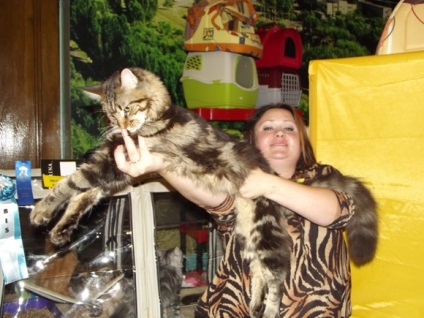 Expoziția de pisici a început în kramatorsk