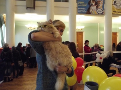 Expoziția de pisici a început în kramatorsk
