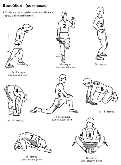 Volei, exerciții de întindere