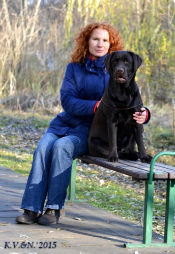 A kennelünk kezelője Kuznetsov natalja, a Labradors Defino professzionális óvoda