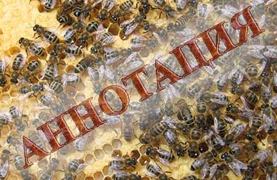 Jurnalul de Apicultură - o modalitate eficientă de curățare a mierei