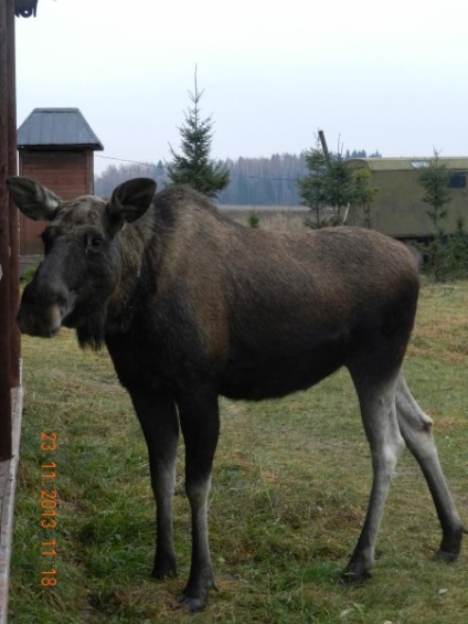 Ismerkedés a Kostroma látnivalóival