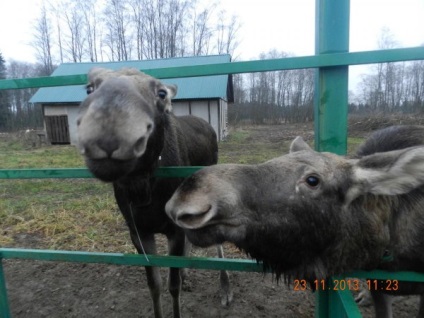 Ismerkedés a Kostroma látnivalóival