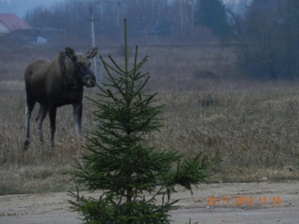 Ismerkedés a Kostroma látnivalóival