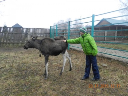 Cunoașterea atracțiilor turistice din Kostroma